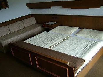 Aparthotel Ferienhaus Antonia Ehrwald